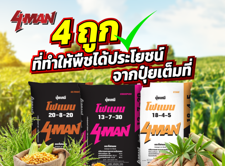 ใส่ปุ๋ย 4 ถูก ลดต้นทุน เพิ่มปริมาณผลผลิต